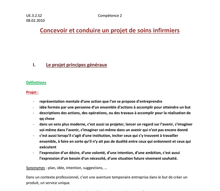 Exemple De Projet Professionnel Redige