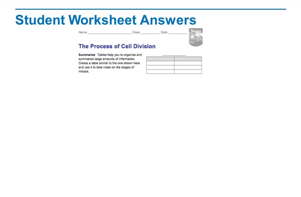 Cell Cycle Student Worksheet Answer Key / Cell Cycle Student Worksheet