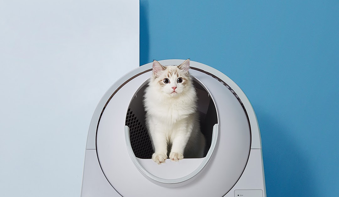 This is the new cat litter box with automatic collection that Xiaomi