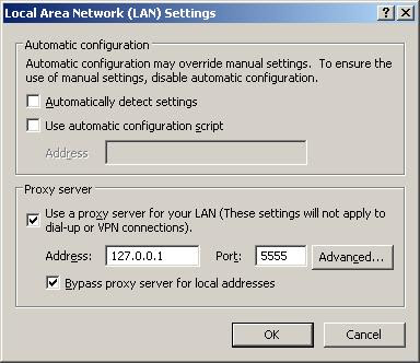 ChangeProxyServer_InternetOptions_LanSettings
