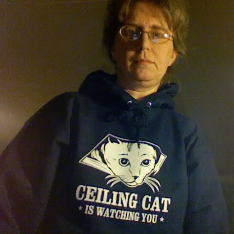 Ceiling Cat