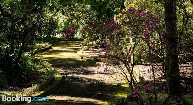 Quinta de Mourães Casa dos Rododendros Horário de abertura