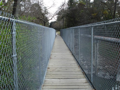 http://farm3.static.flickr.com/2174/2200074129_8a103d5312.jpg?v=0