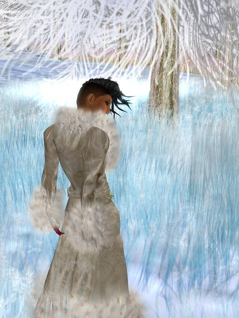 DreamFashion 1
