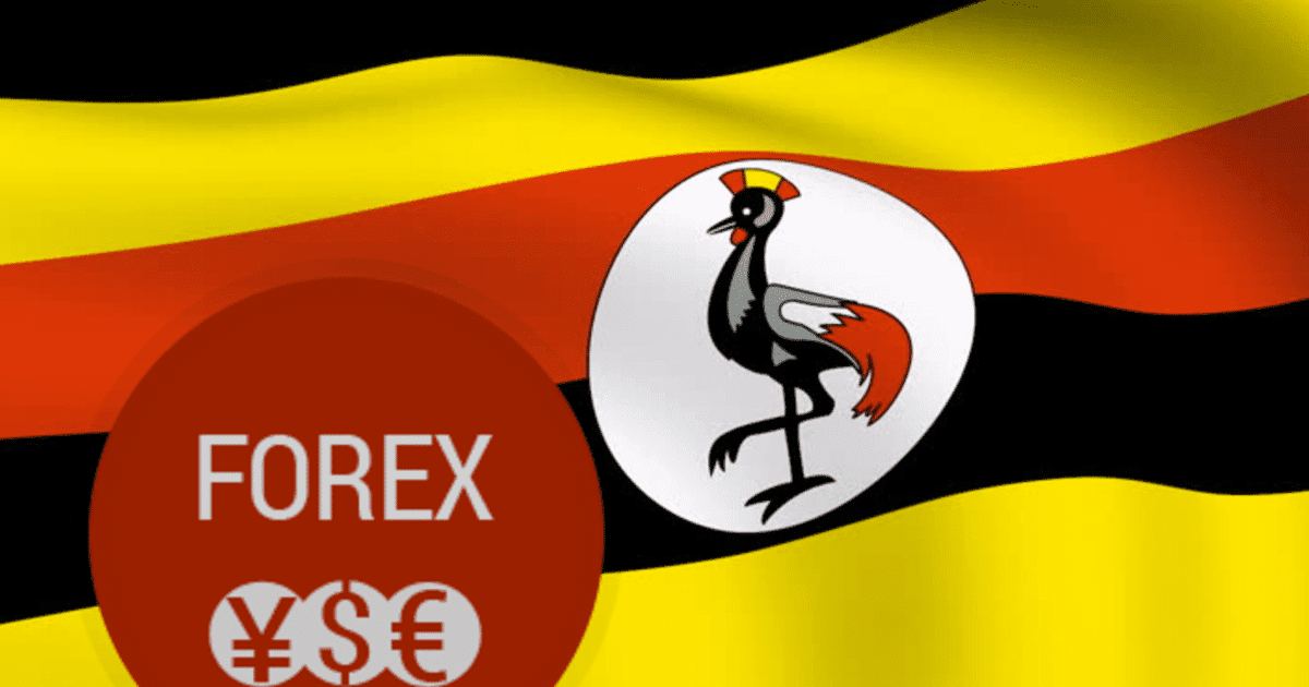 Forex trading uganda