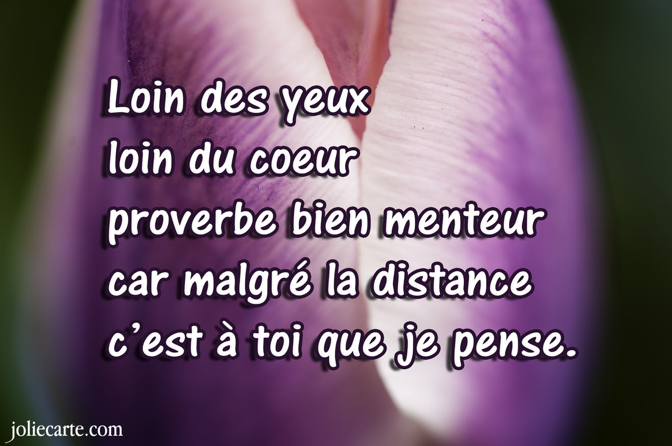 Citation Damour Loin De Toi Best Citations D Amour