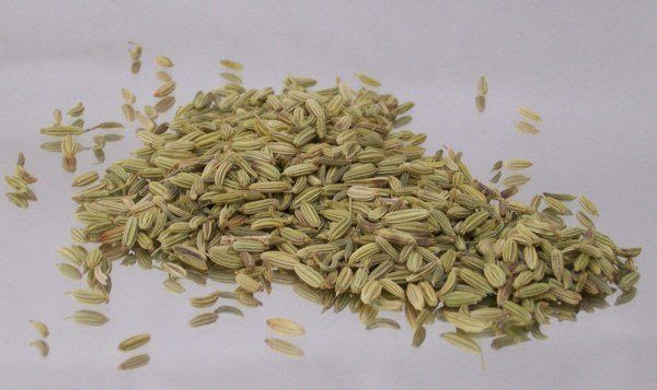 230-plantas-medicinales-mas-efectivas-y-sus-usos-hinojo-semillas