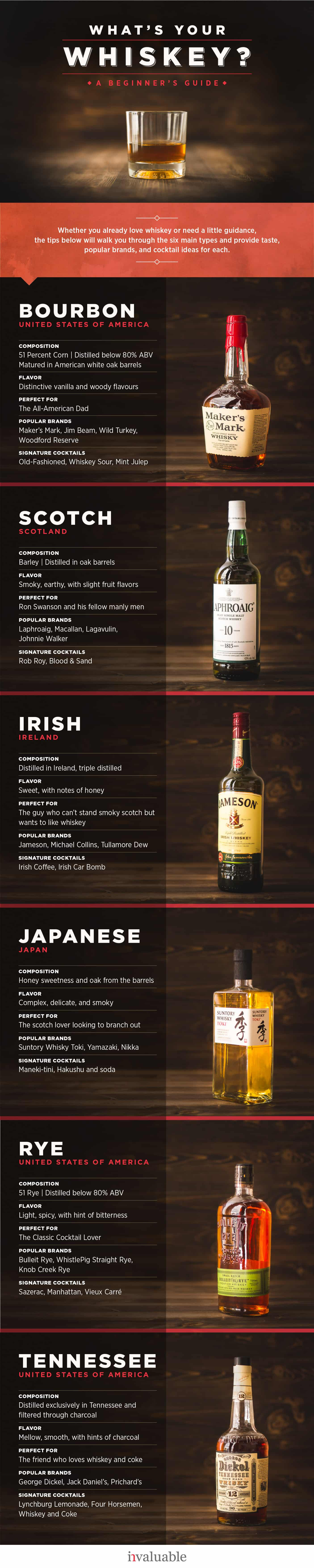 Ana Maygon La guía del whiskey para principiantes infografía