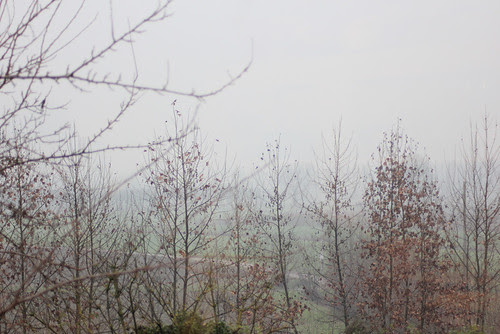 dalla finestra delle tamerici