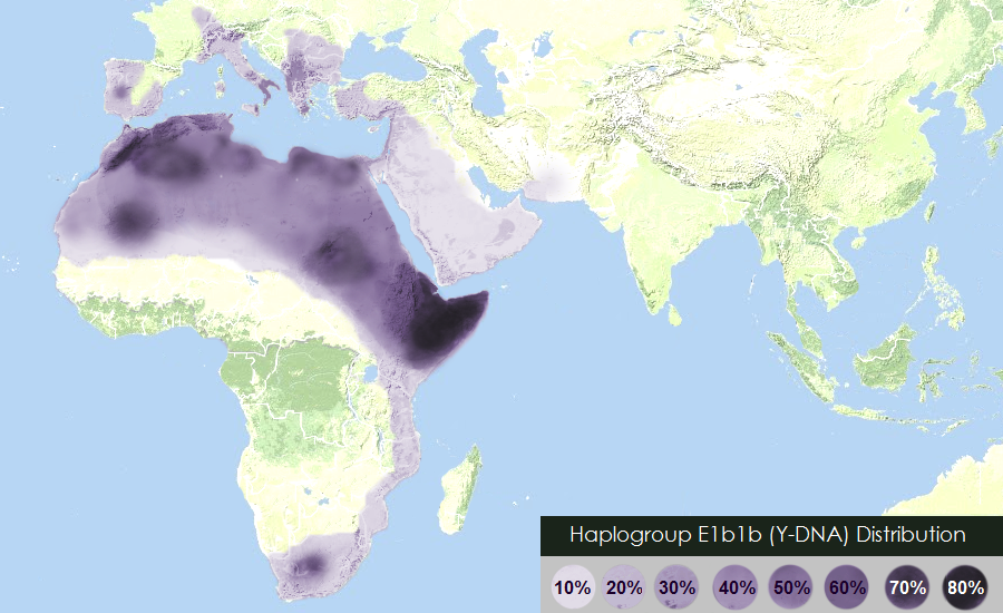 Résultat de recherche d'images pour "haplogroupe e1b1b1b"