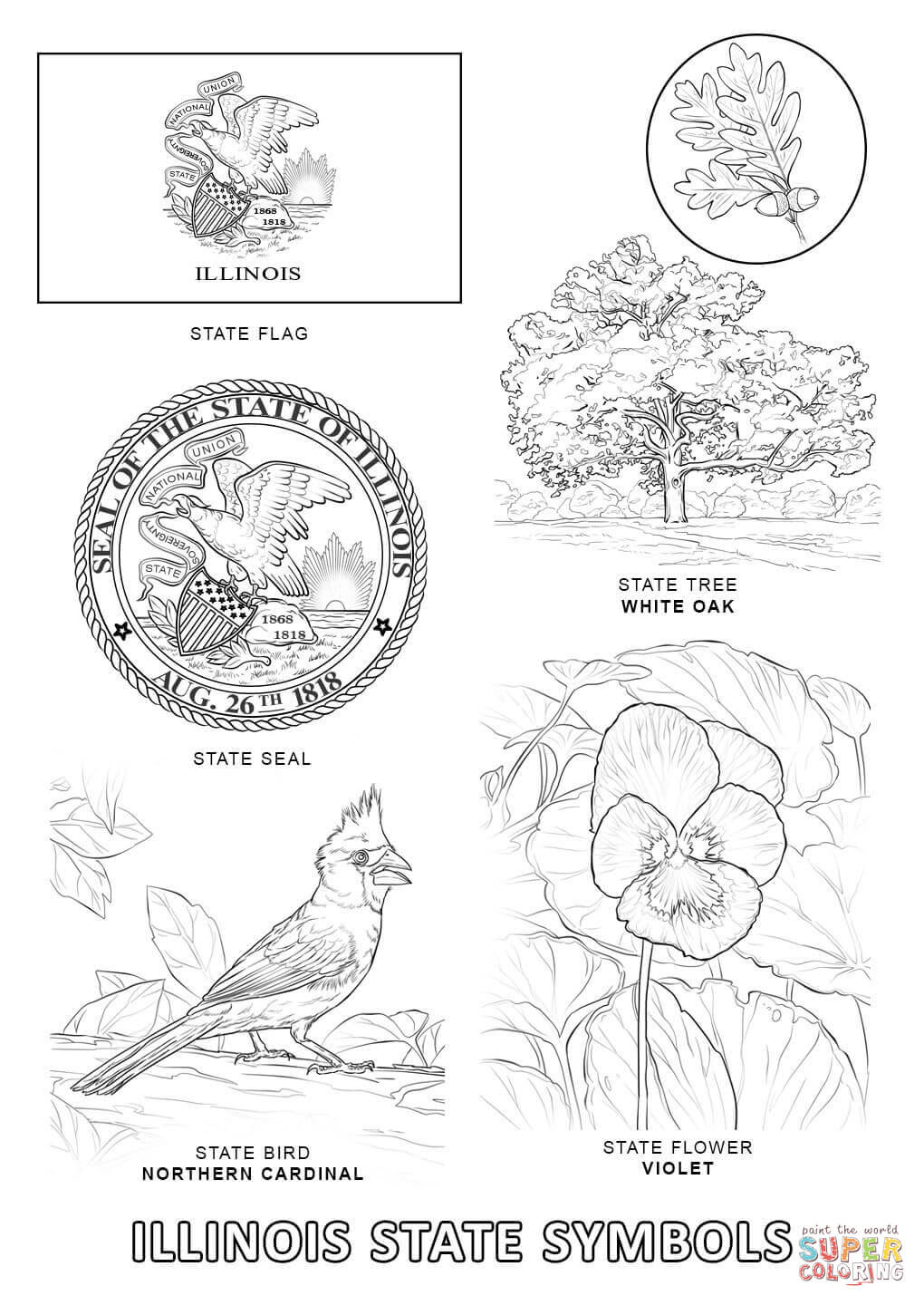 Florida State Bird Coloring Page - Https Encrypted Tbn0 Gstatic Com