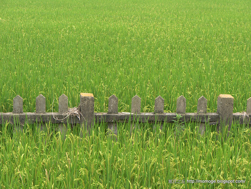 分