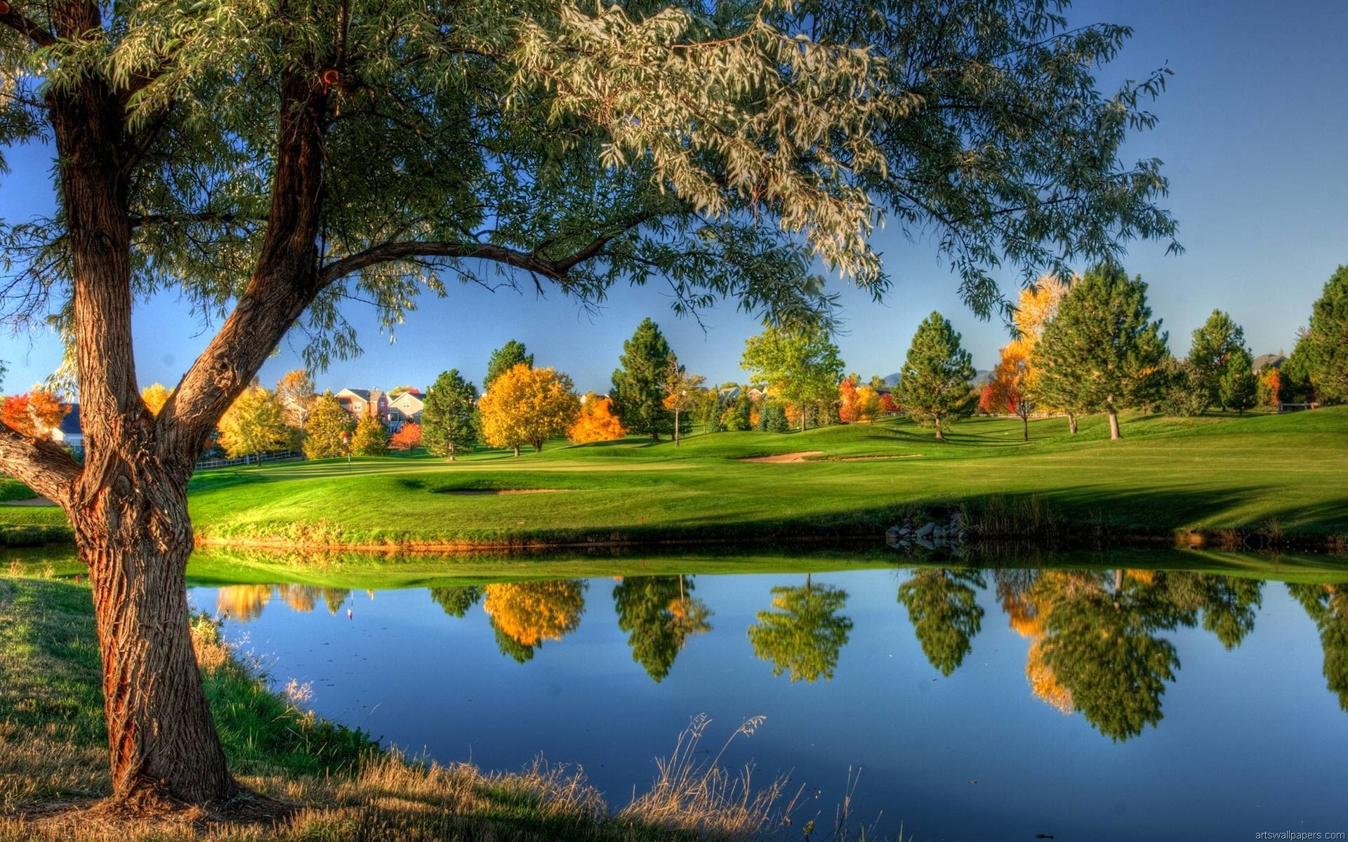 Wallpaper Hd Nature Wallpaper For Desktop 4k