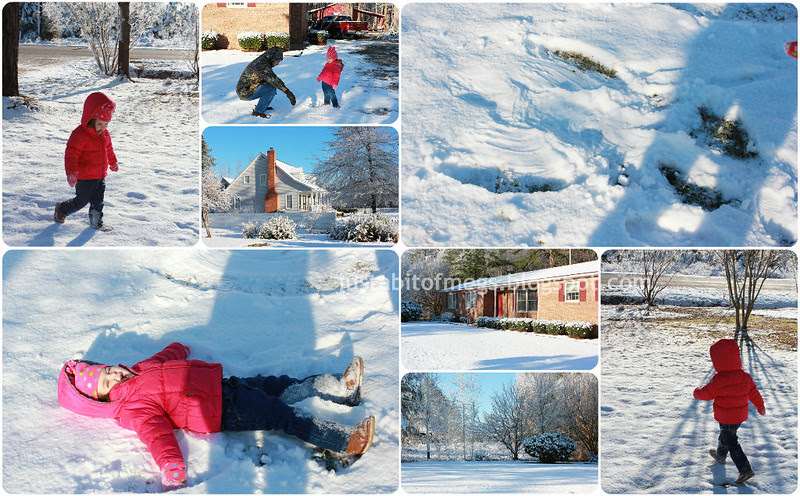 snow1