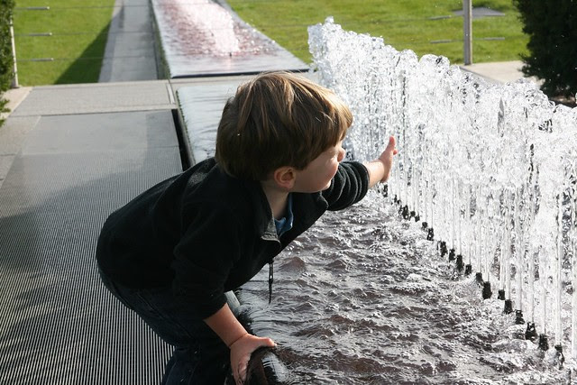 the fountain