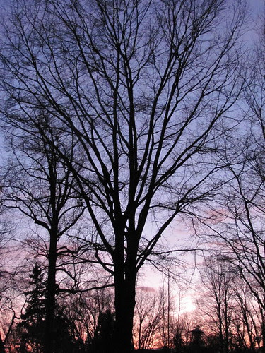 Winter Sunset
