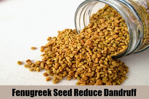 Fenugreek Seed Reduce Dandruff