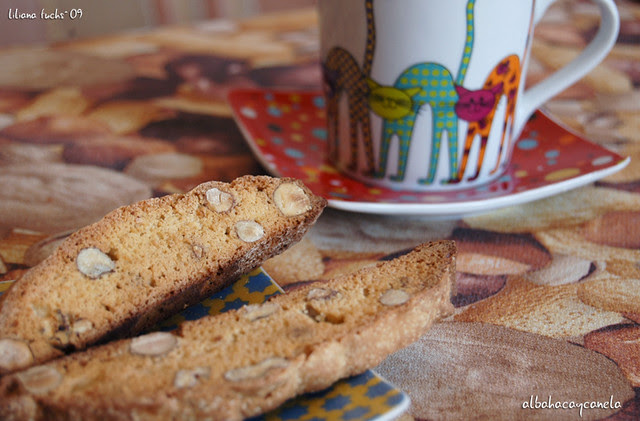 hazelnut biscotti