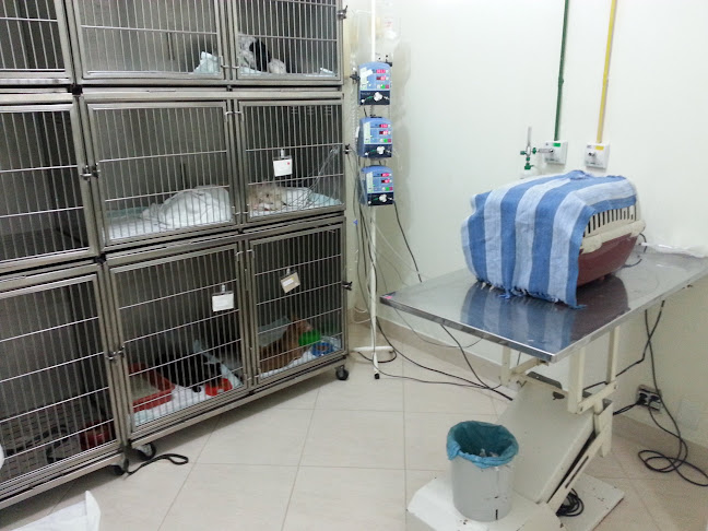 Clínica Veterinária 24h Canne & Gatto - Rio de Janeiro
