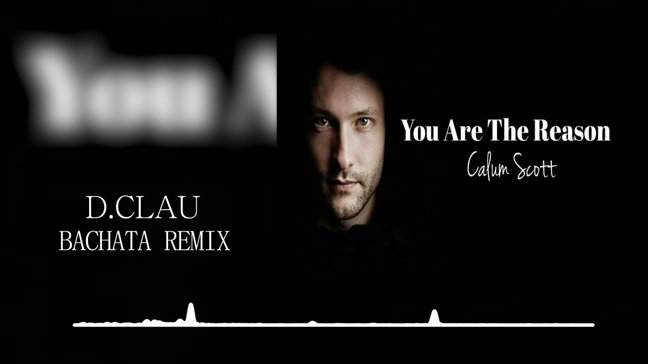 the reason song free mp3 download