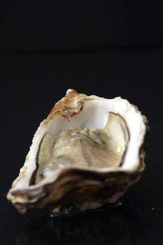 openoester