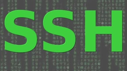 SSH deletar arquivos e pastas
