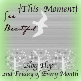 This Moment See beautiful Blog Hop