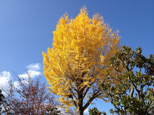 20111120124723