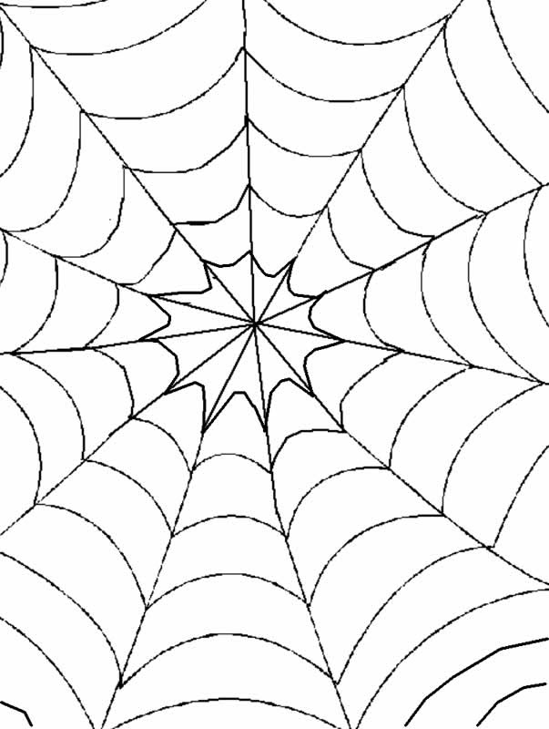 Comment Dessiner Une Toile D'araignée Comment Dessiner Une Toile D'araignée : How to THINK when you draw WEBS
