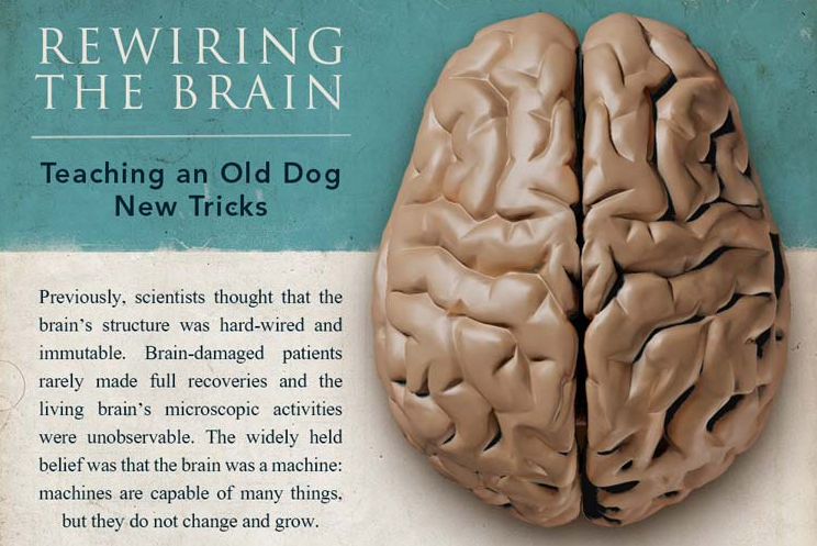 Rewiring the Brain With Neuroplasticity [Infographic ...
