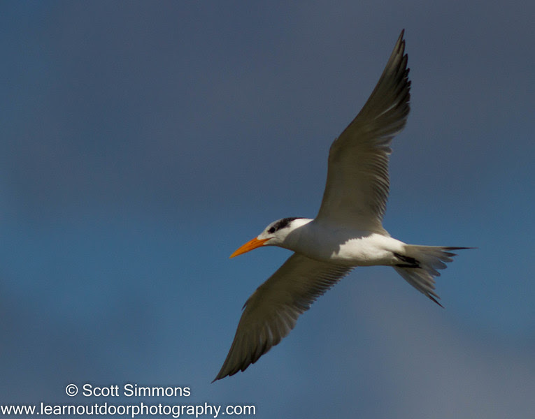 Photo & Video Sharing by SmugMug Photo & Video Sharing by SmugMug