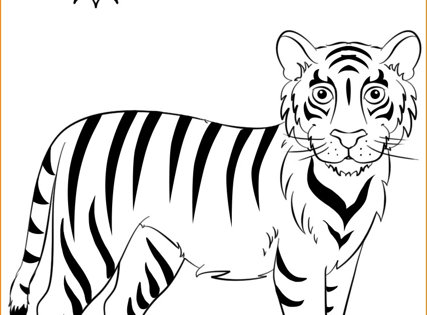  Sketsa  Gambar Harimau  Yang Mudah Contoh Sketsa  Gambar