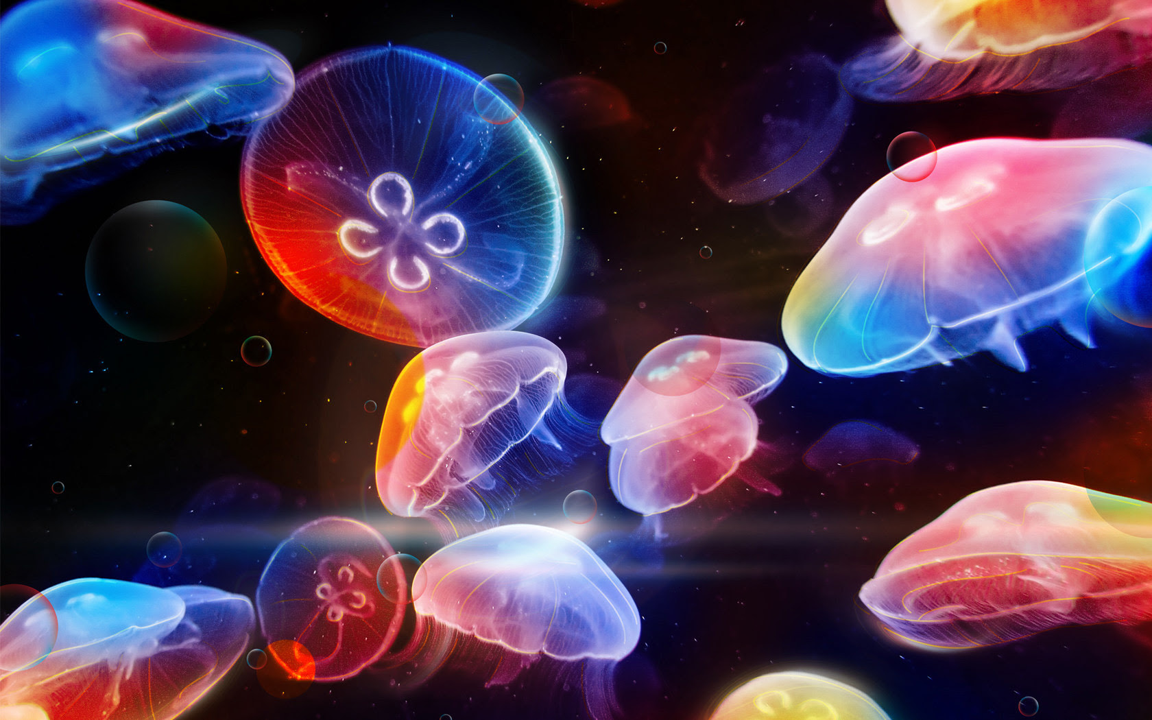 Jellyfish wallpapers and images - wallpapers, pictures, photos