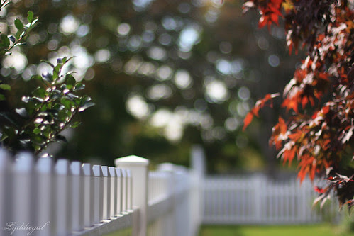 Faux Fall Fence