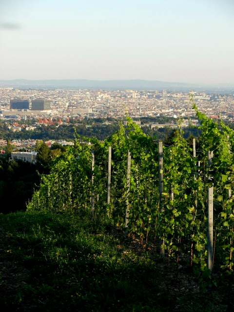Kahlenberg_2012_23
