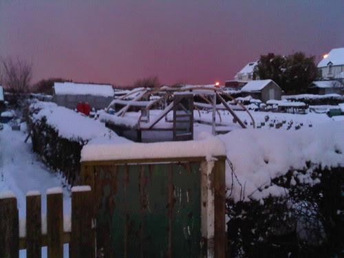 Allotment snow Jan 10 no 2