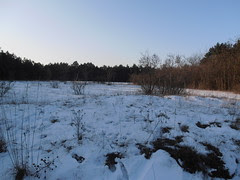 P1010376