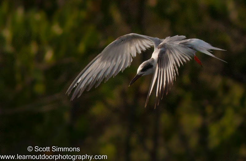 Photo & Video Sharing by SmugMug Photo & Video Sharing by SmugMug