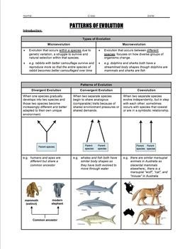 Evolution Starts With Worksheet Answers - worksheet