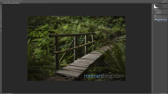 Copyright Ron Martinsen - ALL RIGHTS RESERVED