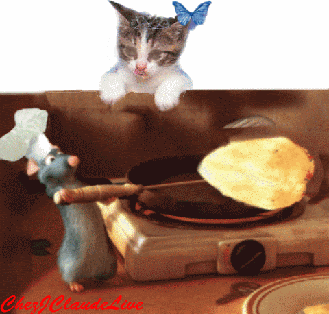 Résultat de recherche d'images pour "c'est la chandeleur chat gif"