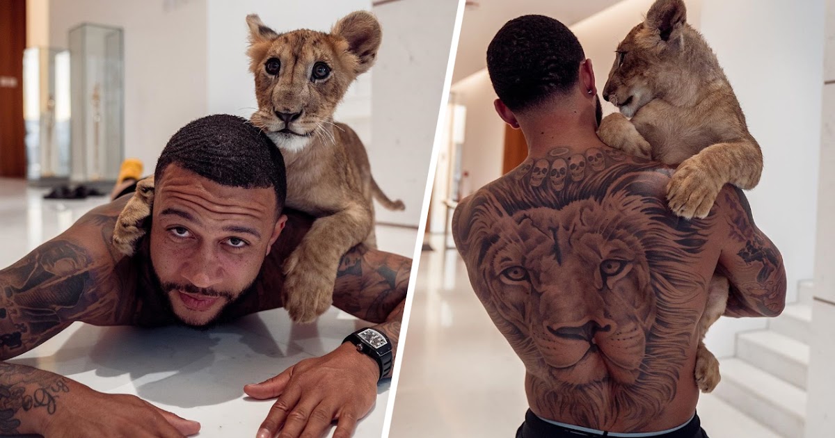 Depay Et Son Lion - Memphis Depay Memphis Depay Memphis Depay Tattoo