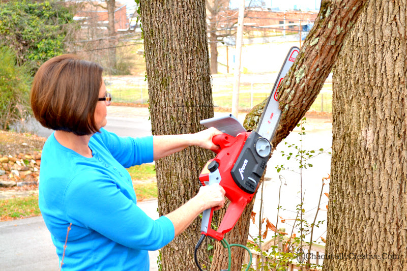 Sawing the branch