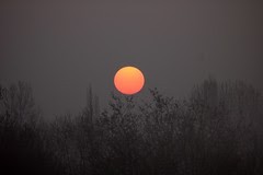Sunrise over Brandon Marsh