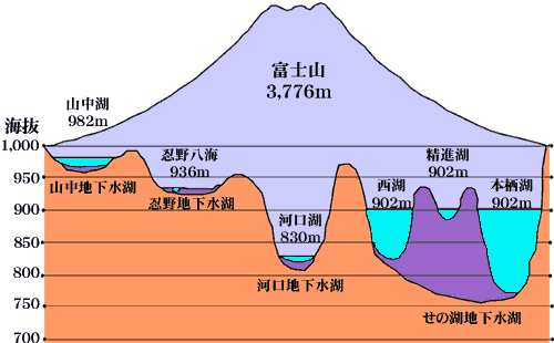 断面図 画像 304403皮膚 断面図 画像 saikonomuryogazoevents