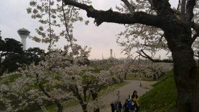 IMG_20130518_131506.jpg