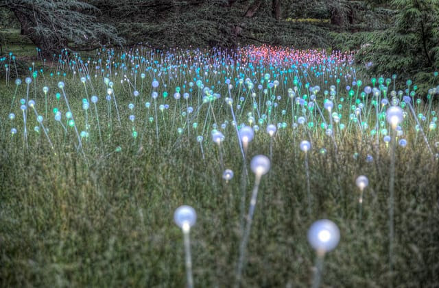 New Brunce Munro Light Exhibition at Longwood Gardens New Brunce Munro Light Exhibition at Longwood Gardens light installation