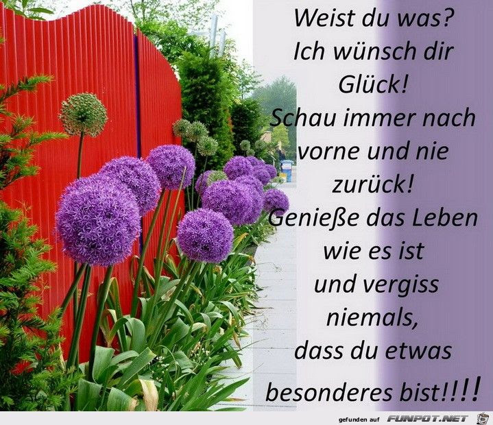 Gratulation Zum Geburtstag Auf Holländisch