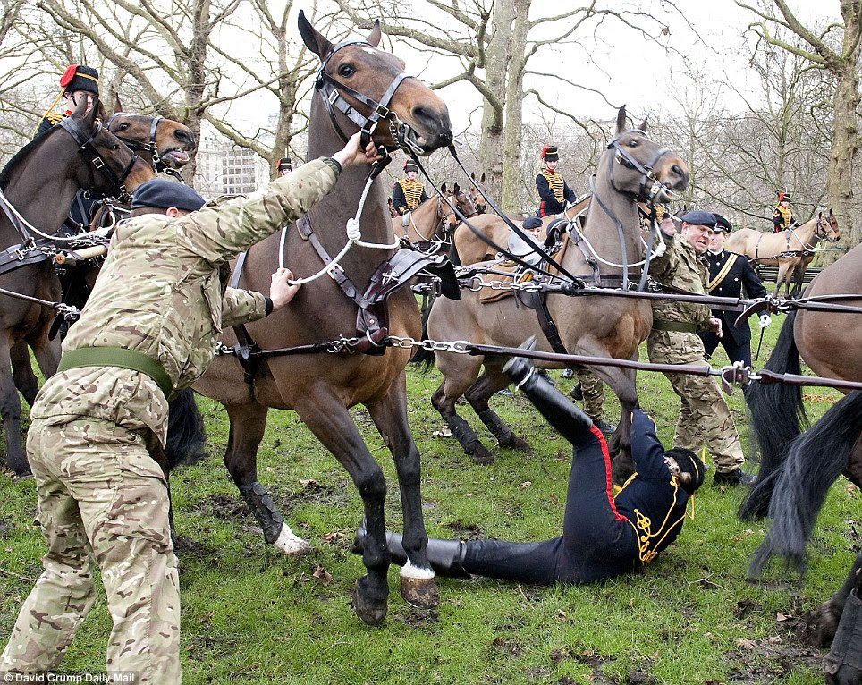 The horse grew more and more nervous at each passing roar of the cannon before it could take no more and threw the woman