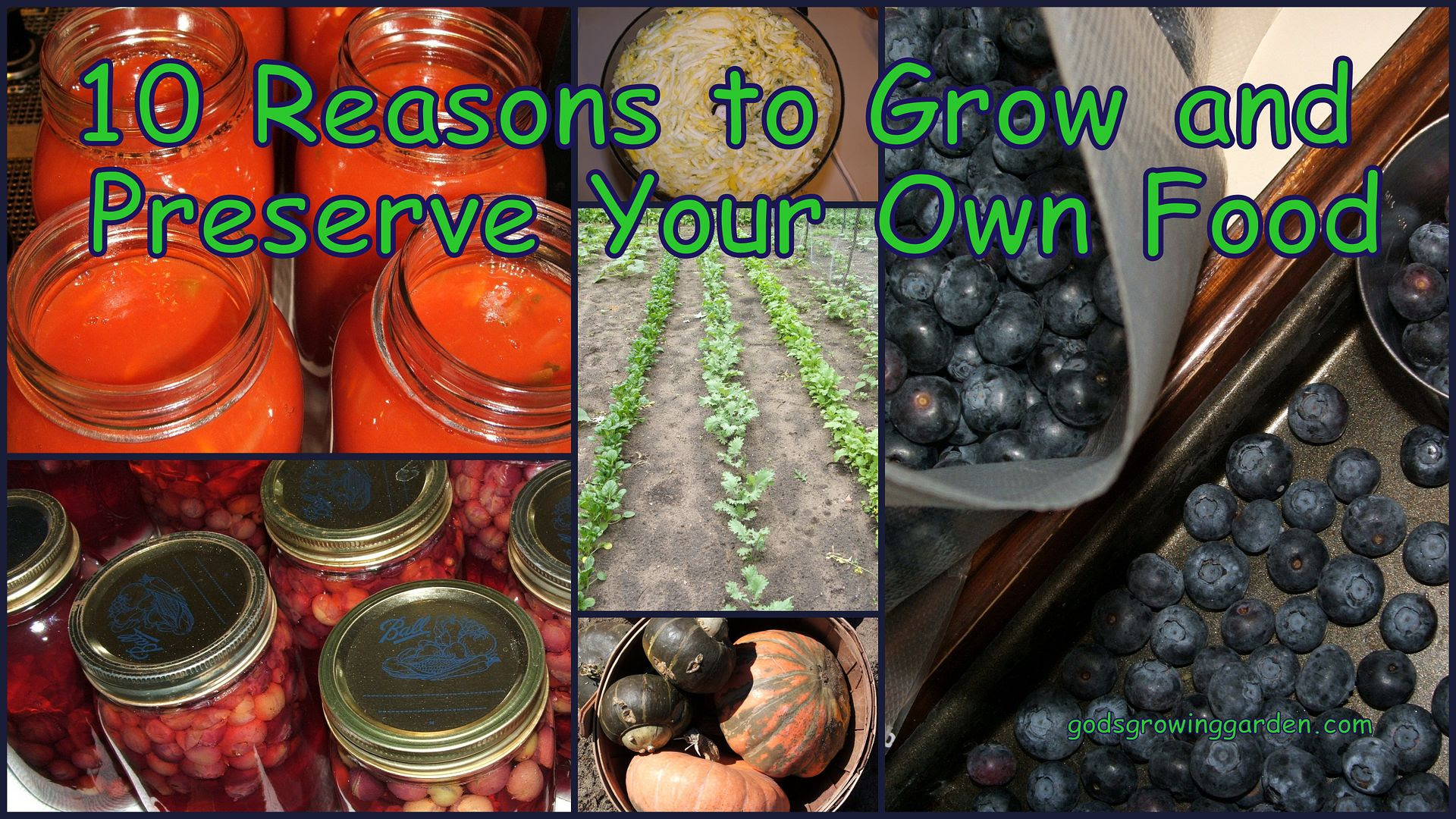 10 Reasons, by Angie Ouellette-Tower for godsgrowinggarden.com